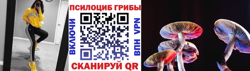 Псилоцибиновые грибы ЛСД  как найти закладки  Югорск 